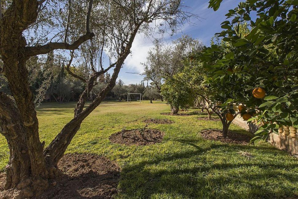 Villa Zahra Palmeraie Marraquexe Exterior foto